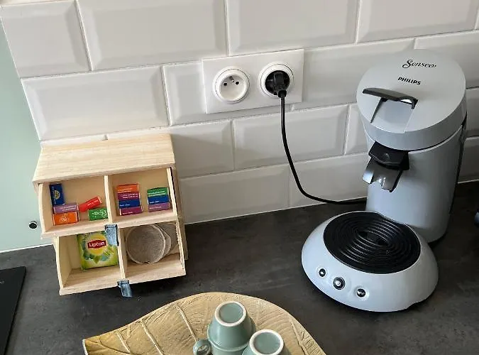 Jungle Le Mesnil-Saint-Denis