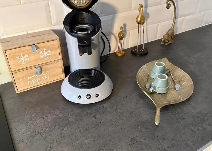 Jungle Дом отдыха